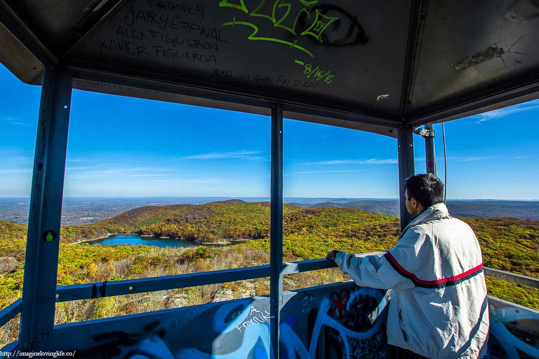 Fire Tower Views